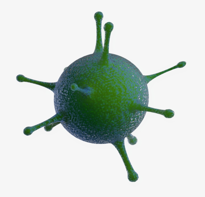 Heading - Animation Studio, transparent png download