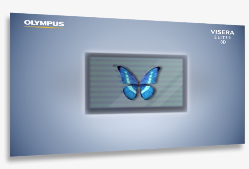 Lycaenid, transparent png download