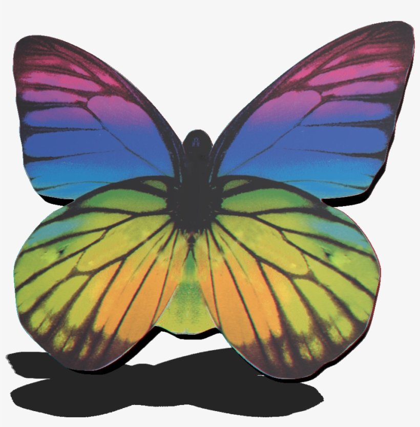 Your Divine Pathway - Adult Monarch Butterfly, transparent png download
