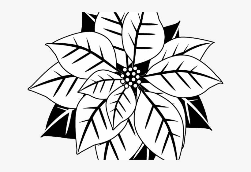 Poinsettia Clipart Black And White - Letterpressed Mistletoe Coasters - Hautepapier, transparent png download