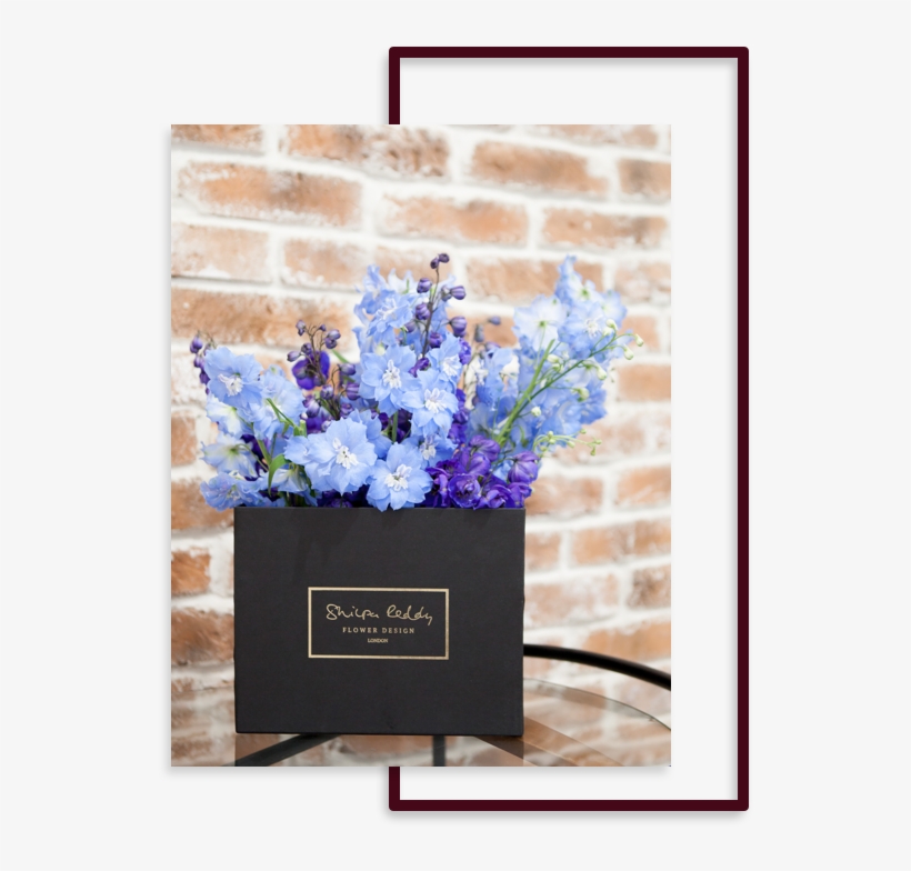 Shaking It Up - London, transparent png download