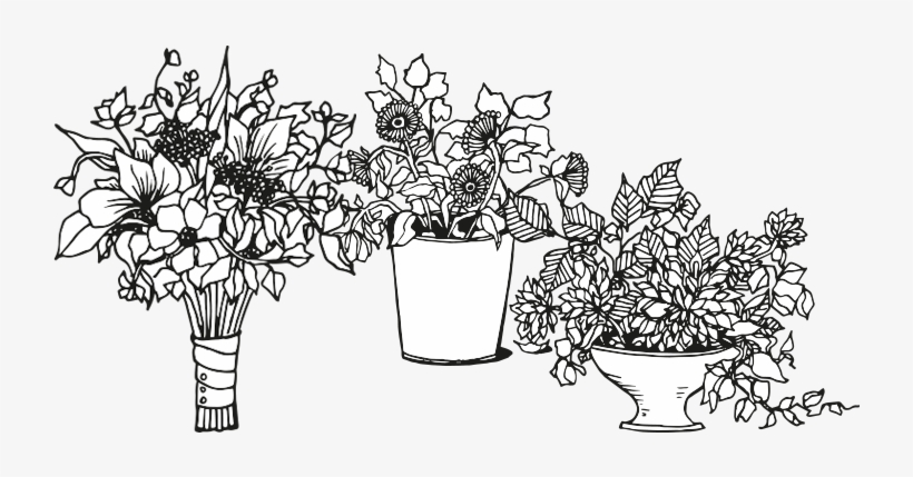 Sol Flower Designs Is Excited To Be Your Choice For - Illustration, transparent png download