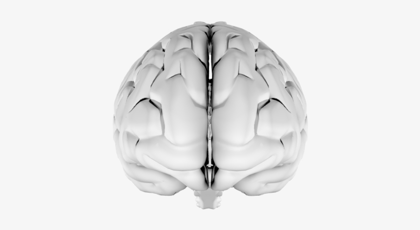 Your Brain Region Overlay - Brain, transparent png download