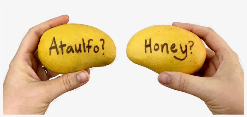 Kiwifruit, transparent png download