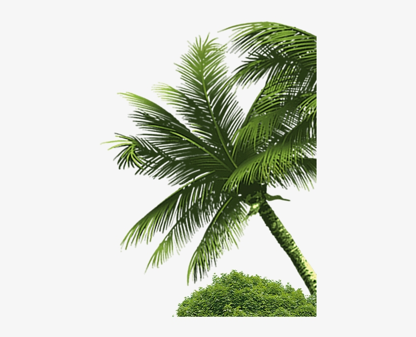 Terra Mítica, transparent png download