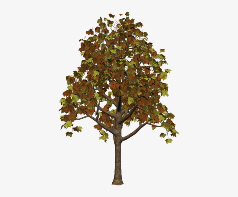 0, - Fall Tree Png, transparent png download