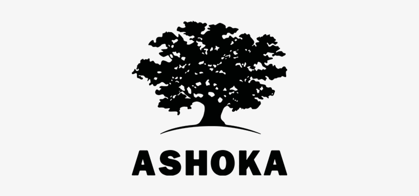 Partners - Ashoka Social Entrepreneurship, transparent png download