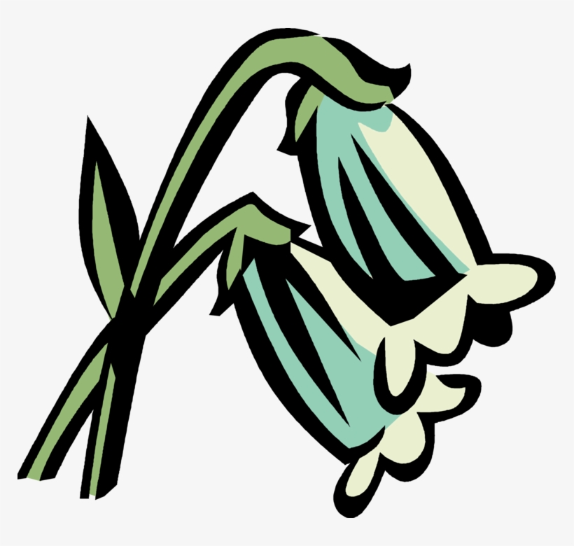 Vector Illustration Of Pieris Temple Bells Botanical - Clip Art, transparent png download