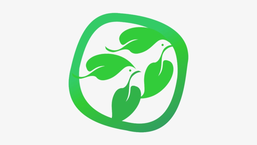 Wholesale Custom Printing Happy Birthday Greeting Card,greeting - China, transparent png download