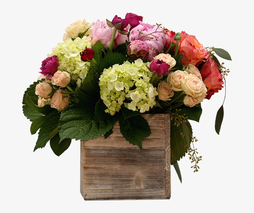 Shop Now - Hydrangea, transparent png download