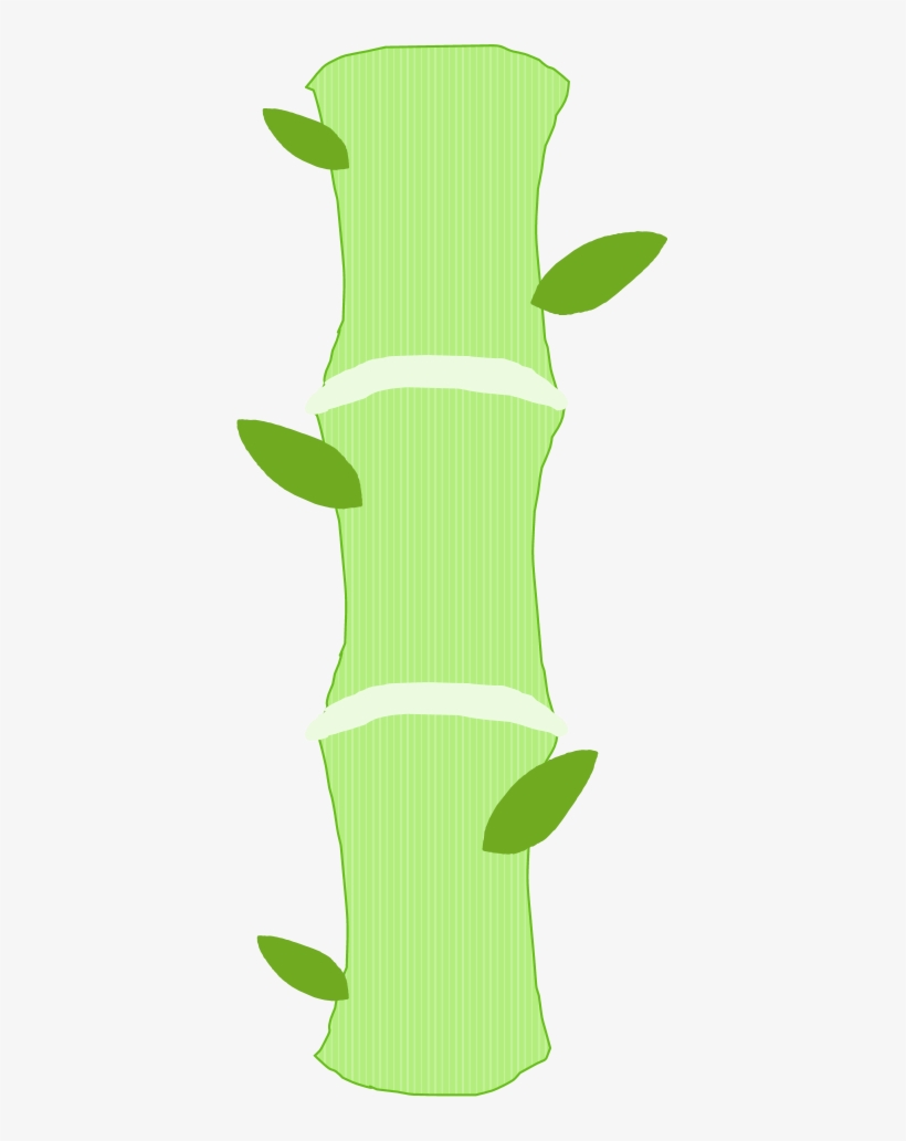 Bamboo - Szapka - March 6, transparent png download