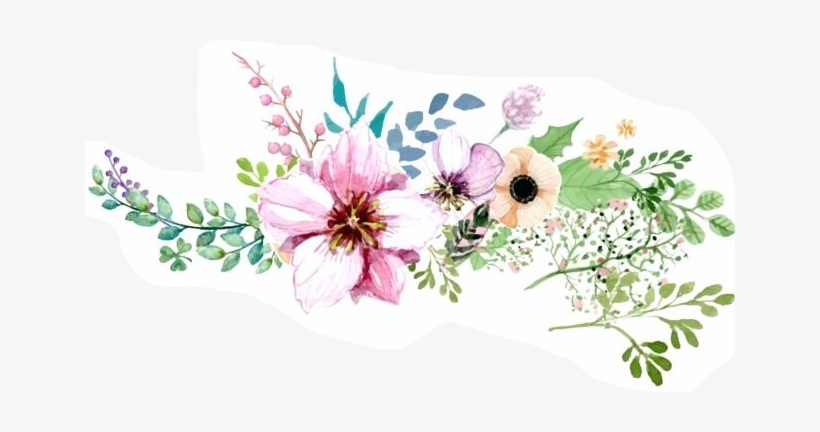 Harli Bott - Watercolour Flower Border Png, transparent png download