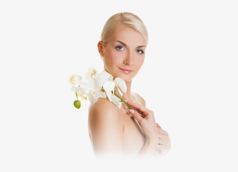 Welcome To Luxor Nails & Spa - Flower, transparent png download