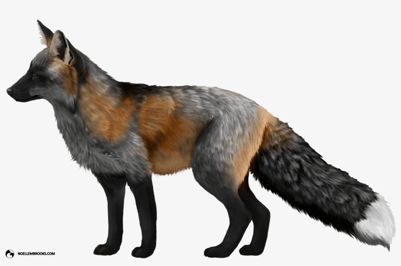 Fox Domestication And Pet Ownership, transparent png download