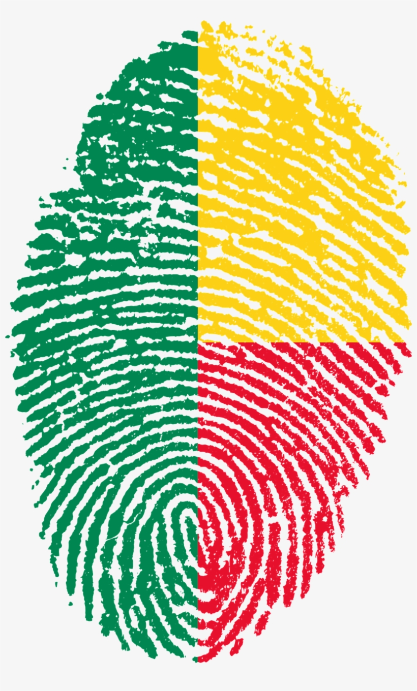 Bandeira Do Brasil Png Transparente, transparent png download
