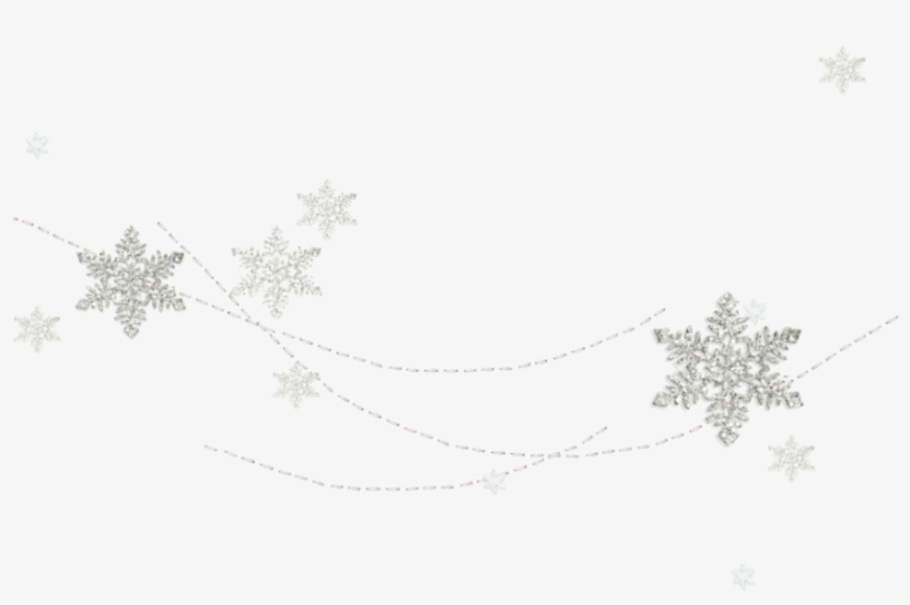 Bloom Pink Frame Flower Border Flowers White Bouquet - Flower, transparent png download