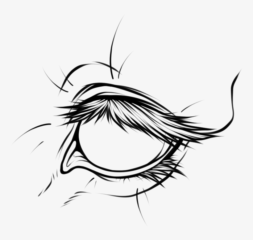 Horse Eye Lineart, transparent png download
