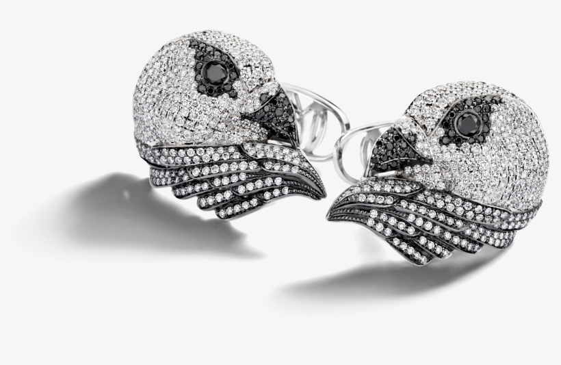 Eagle Eye, transparent png download