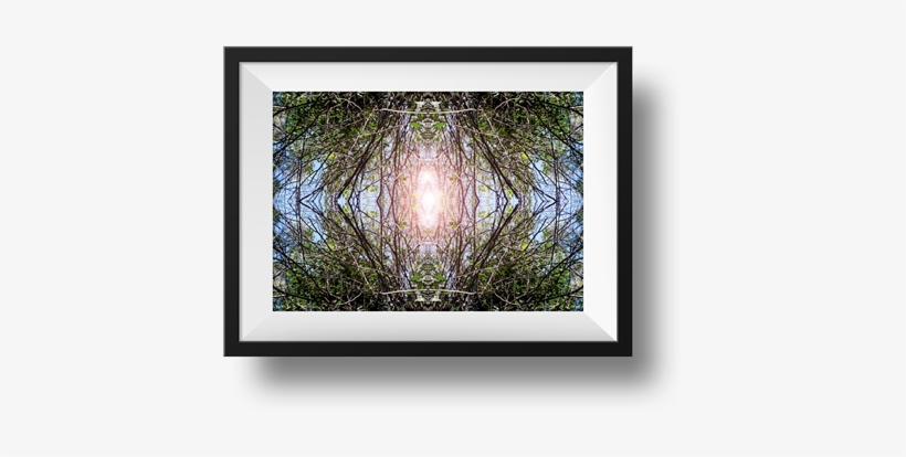 Wallpapers In High Definition ,free Download Here - Picture Frame, transparent png download