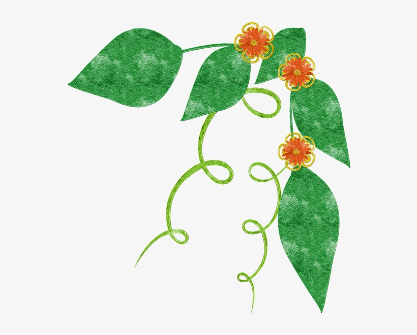 Scrapbook Green Nature Grunge Color - Green, transparent png download