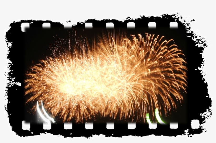 *amaryllis From Inside Of Neighbor's Fence* - Fireworks, transparent png download