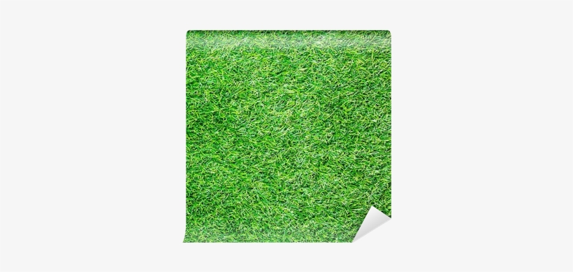Artificial Grass Field Top View Texture Wall Mural - Wall, transparent png download