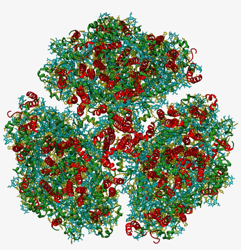 Rcsb Pdb News Image - Richard Hassell Art, transparent png download