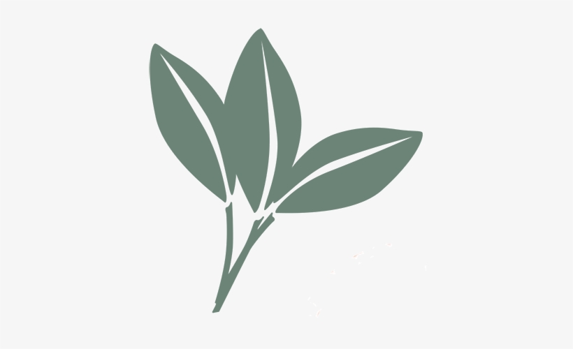 Wellness Center At Jasper Mountain, Emmaus, Pa - Wellness Center At Jasper Mountain, transparent png download