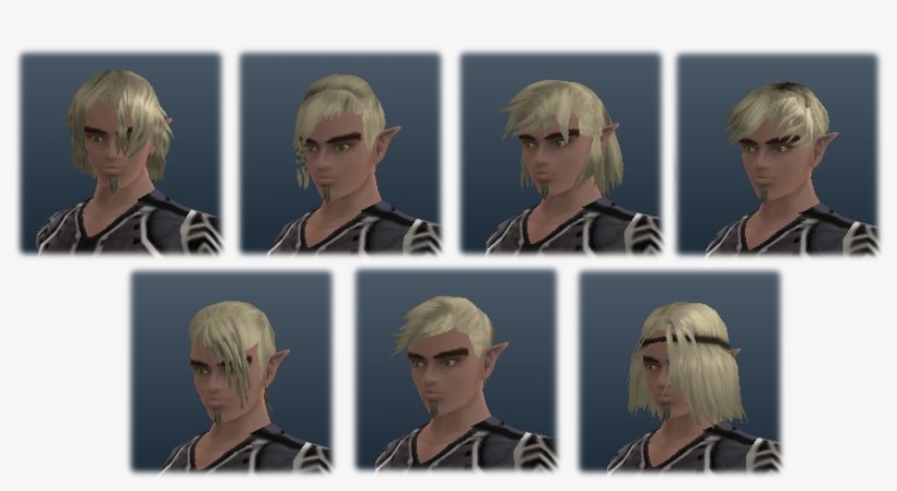 Halfelf Male Hairs - December 22, transparent png download