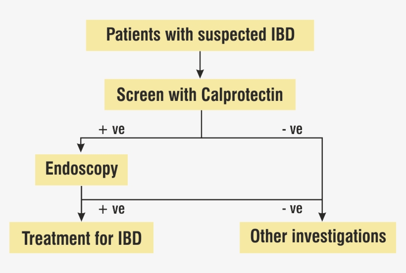 0 Replies 0 Retweets 0 Likes - David Kirsch - A.m. Daily Detox Grape - 30 Packets, transparent png download
