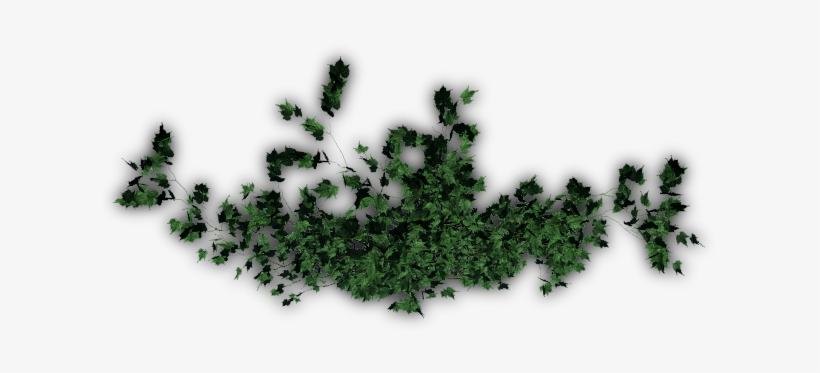 24 Mar 2009 - Jack Pine, transparent png download