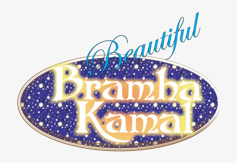 The Flower Of The Night Bramha Kamal In Marathi Also - Calligraphy, transparent png download
