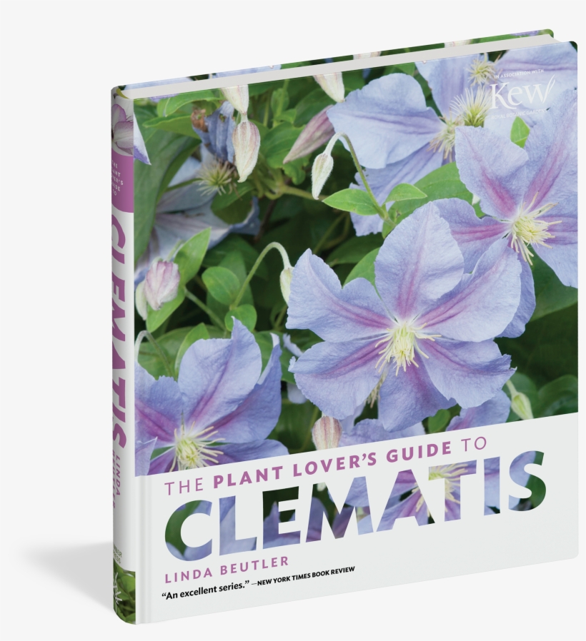 The Plant Lover's Guide To Clematis - Plant Lover's Guide To Clematis By Linda Beutler, transparent png download