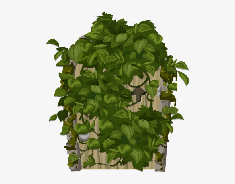 Free Png Images Of Bushes, transparent png download