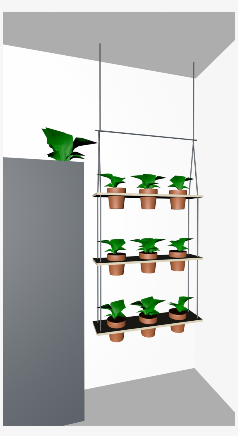 This Is The Shelf Spacing We Came Up With In Cinema - Shelf, transparent png download