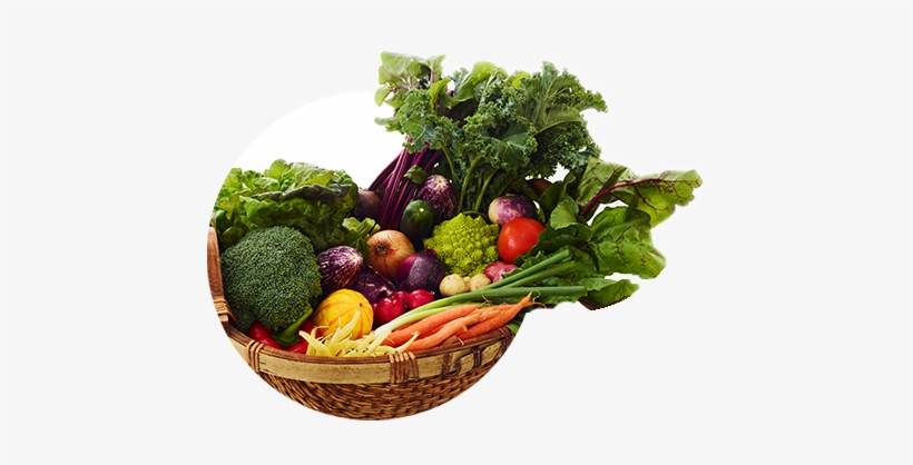 Attractive Pricing - Collard Greens, transparent png download