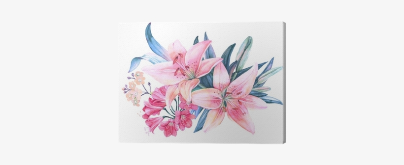 Pink Lily Flower Watercolor Bouquet Canvas Print • - Lírio Aquarela, transparent png download
