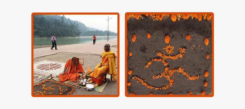 Kali Homa Rishikesh Preparations - Tree, transparent png download