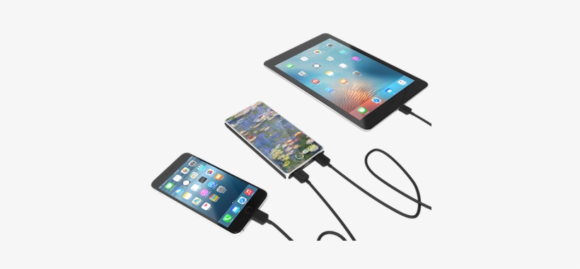 Water Lillies Desktop Essentials Tech Gift Set - Protector De Pantalla Glass Iphone 6 4.7 Pulgadas, transparent png download