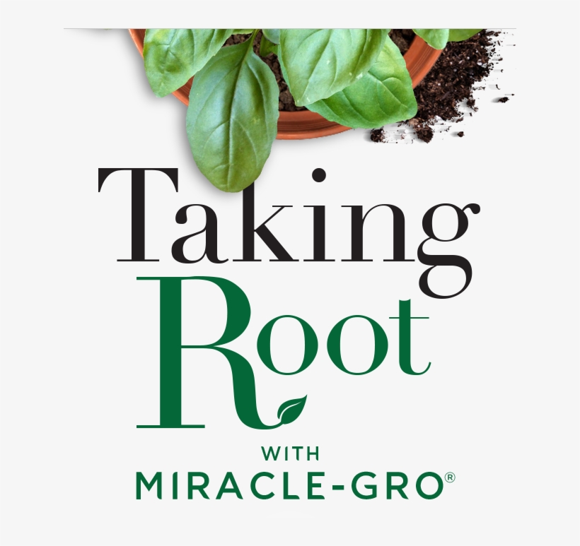 Comedy Theatre Of Budapest, transparent png download