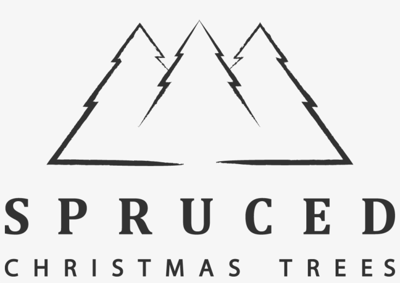 Spruced Innovation In Christmas Trees 2018 Offer - Christmas Tree, transparent png download