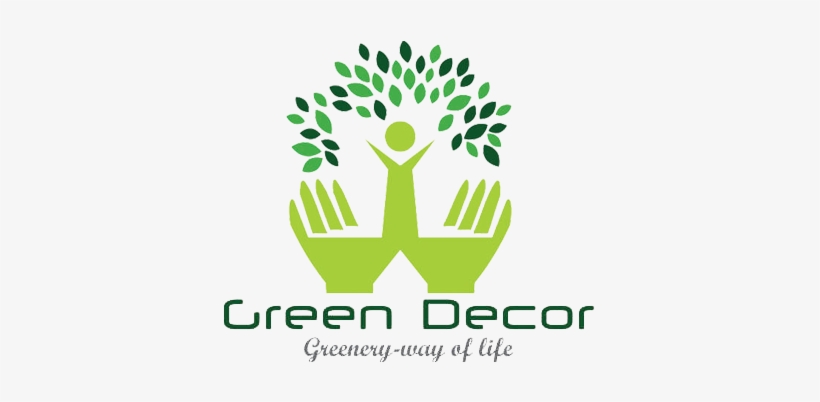 Buy Indoor Plants For Air Purification, Air Purifying - Plant, transparent png download