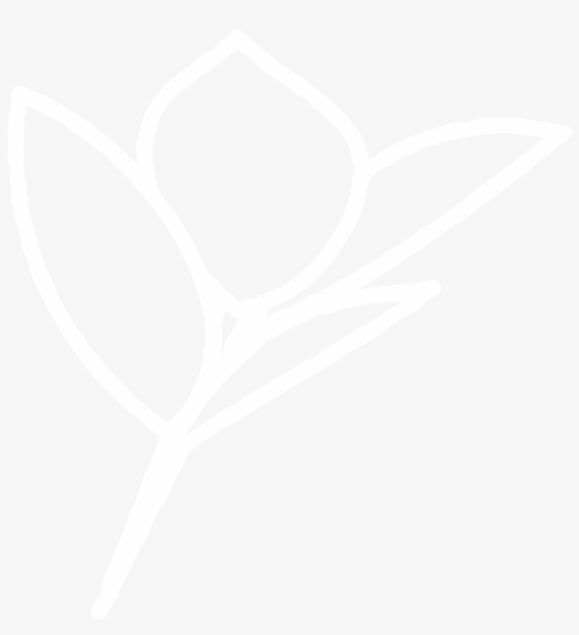 Plant Shop Chicago - Chicago, transparent png download