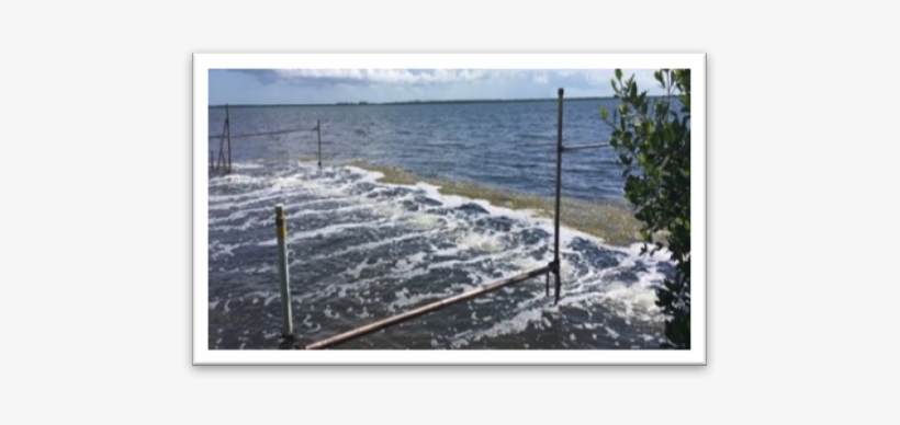 Next Water Quality Project For Keys - Sea, transparent png download
