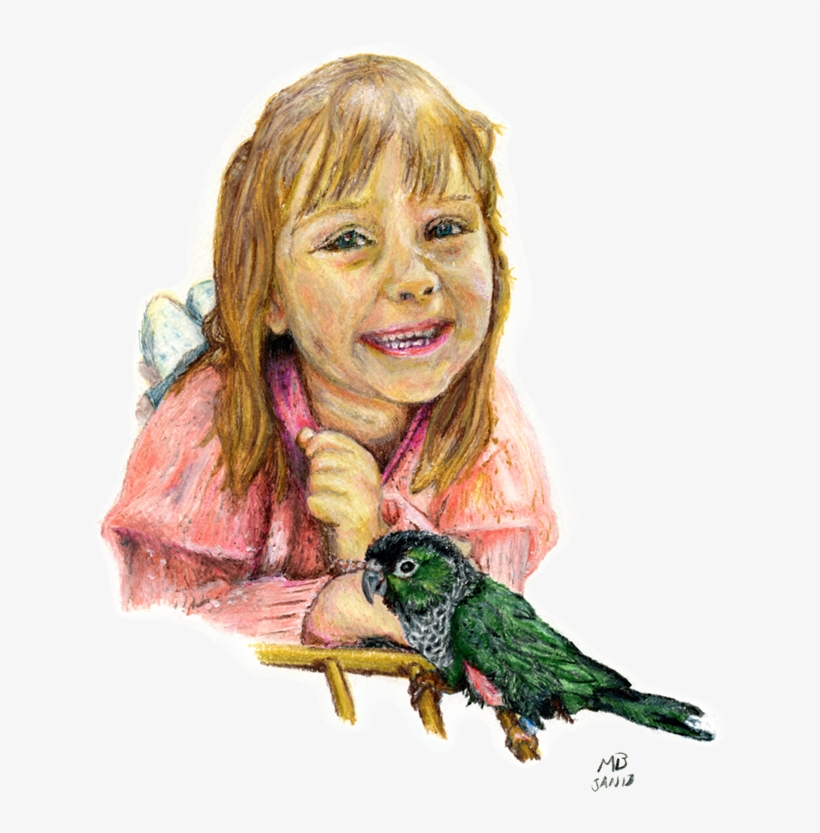 Abigail And Billy, Green Conure Parrot - Drawing, transparent png download