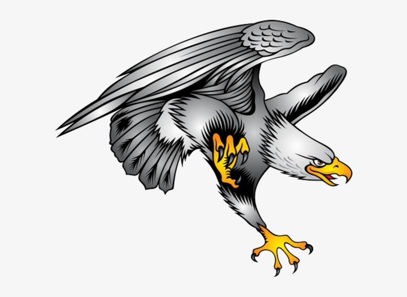 Free Eagle Vector Free Download Clip Art Free Clip - Aigle Blanc En Vol, transparent png download