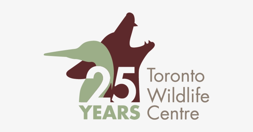 Partners In Protection - Henry David Thoreau Quotes, transparent png download