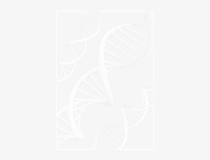 The 1st Published Study In The Diagnosis Of Prosthetic - Drawing, transparent png download