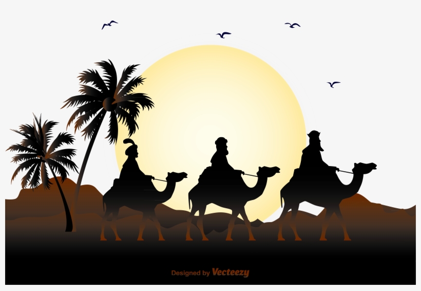 Graphic Transparent Calimero Television Film Wallpaper - Palm Tree With Coordinates, transparent png download