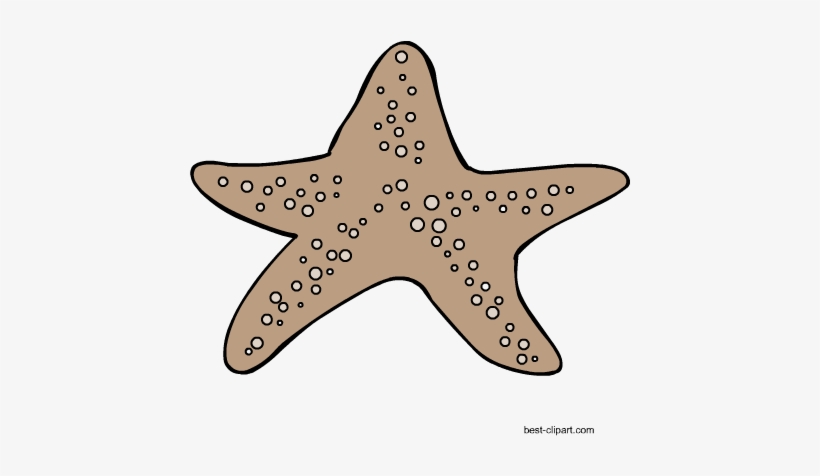 Startfish Free Clipart Graphic - Free Content, transparent png download